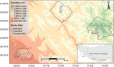 Factors influencing tree biomass and carbon stock in the Western Himalayas, India